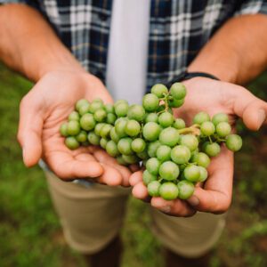 EKOETXEA PROMO JUL 2022 - 32