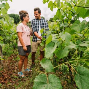 EKOETXEA PROMO JUL 2022 - 34