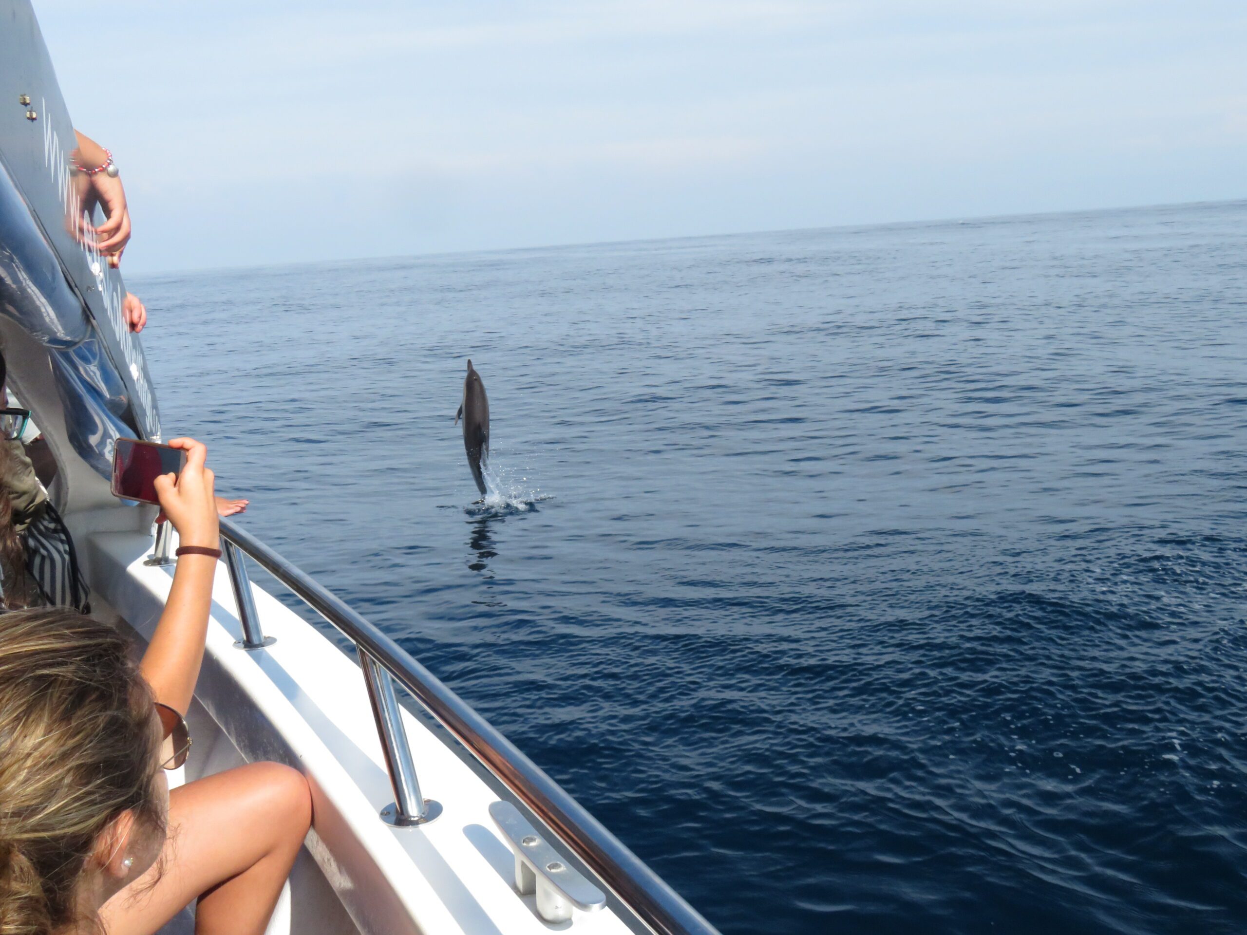 CETÁCEOS A LAS 10 @ Ekoetxea Urdaibai
