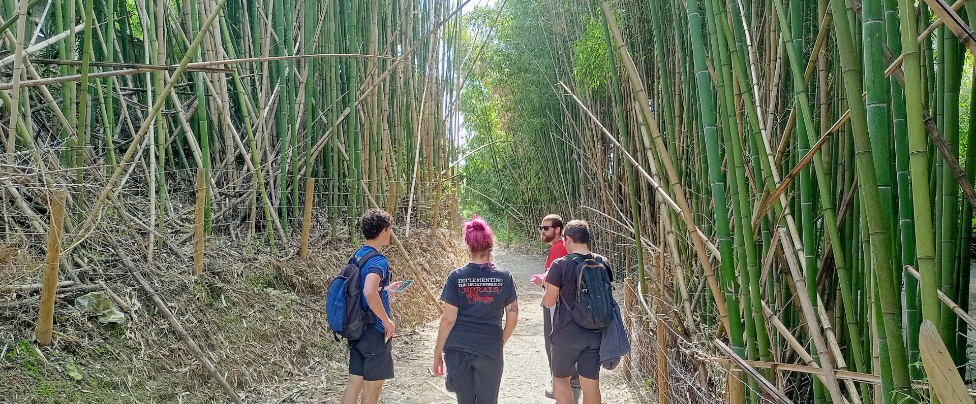 Cabecera noticia (6)