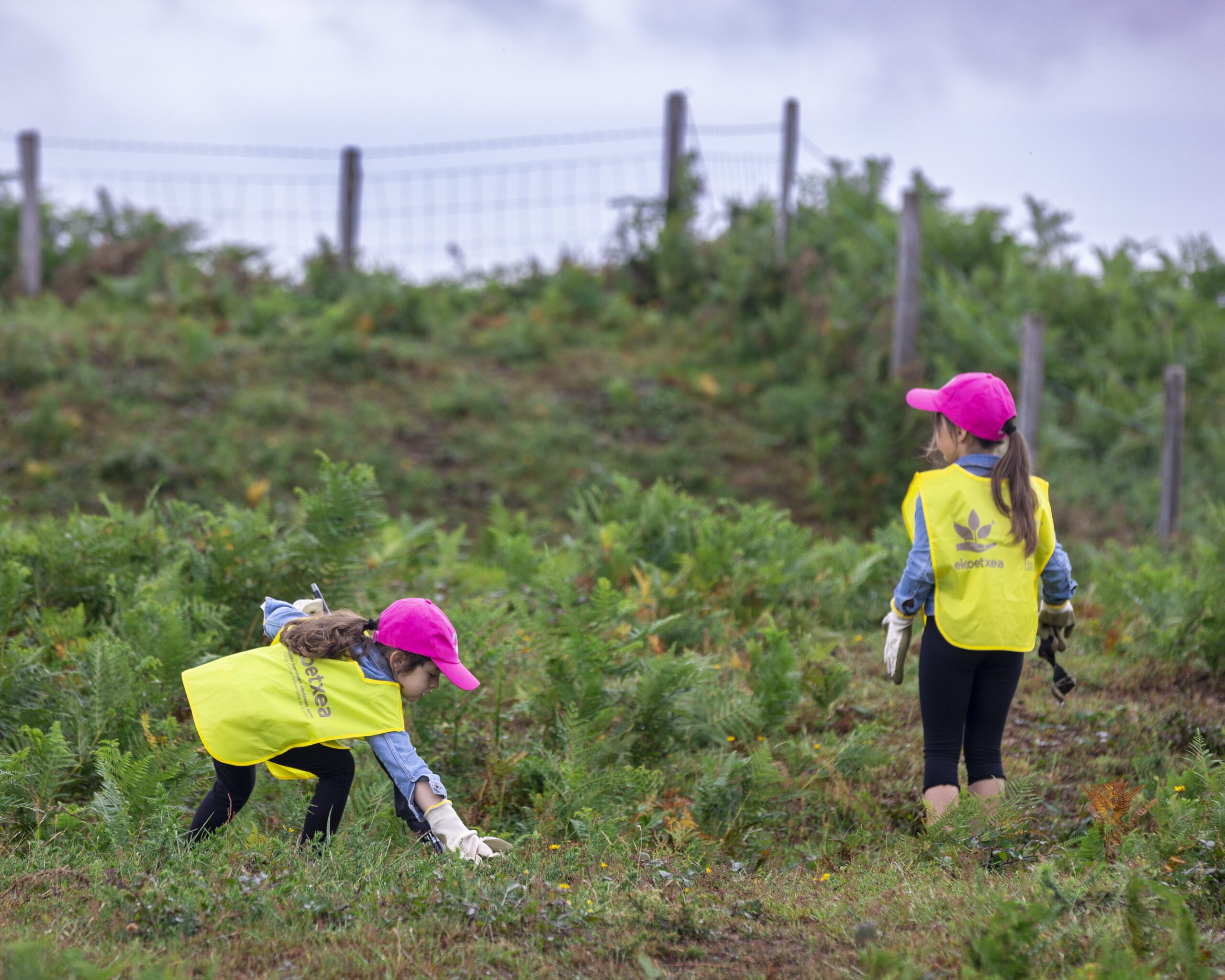 52966684605_bf36a8fd4b_o