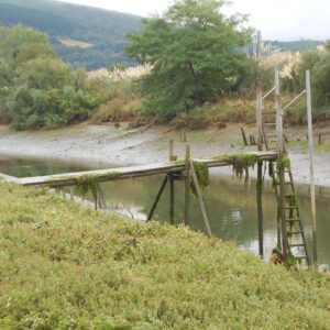Hezeguneen Mundu Mailako Eguna: Uraren bidaia, gizakia eta natura
