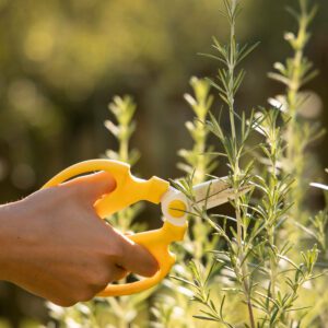 Paseo botánico en la ribera del rio