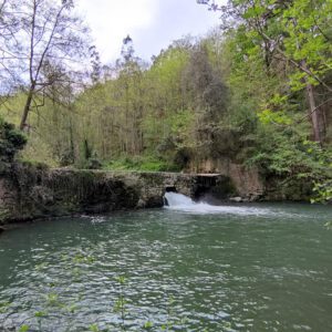 Uraren bideak: Barbadun ibaia. Valdivian-La Olla