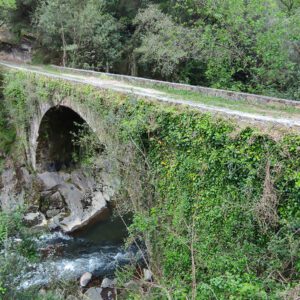 Uraren bideak: Barbadun ibaia. Valdivian-La Olla