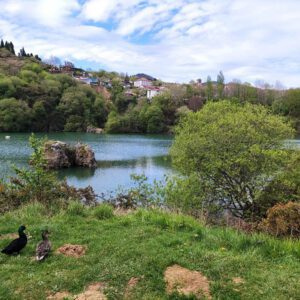 Conoce la Zona Minera: Los pozos de La Arboleda
