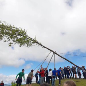 La mitología de los árboles. Recorrido por Sobrón