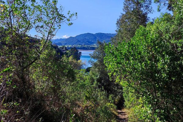 ATXARREKO ARTADIA LAIDARA BEGIRA