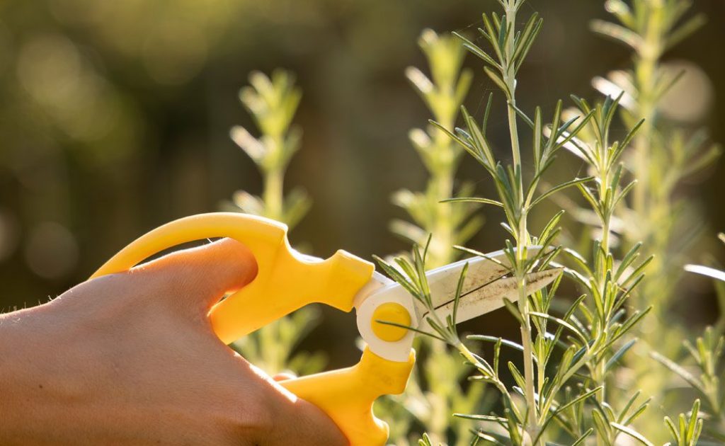 BB_Garbine-Larrea_Orokorra-2