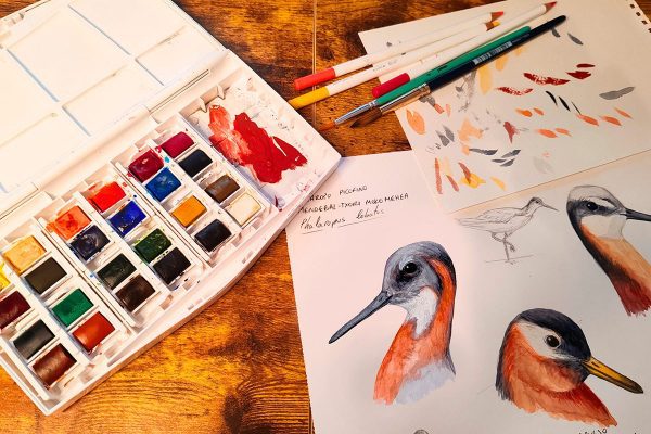 ILU‍STRAZIO-ZIENTIFIKOA-(2)