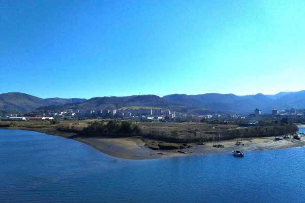 IMG_20230210_144531_967 (1)