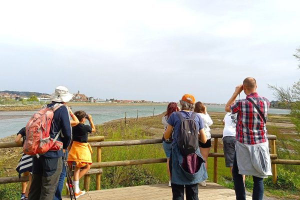 Plaiaundi HEZEGUNEAK