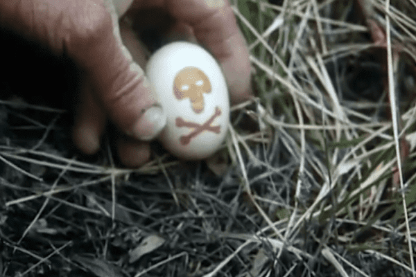 Screenshot 2026-02-27 084829