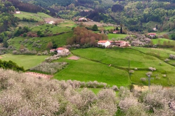 Udaberiko-argazkiak-4