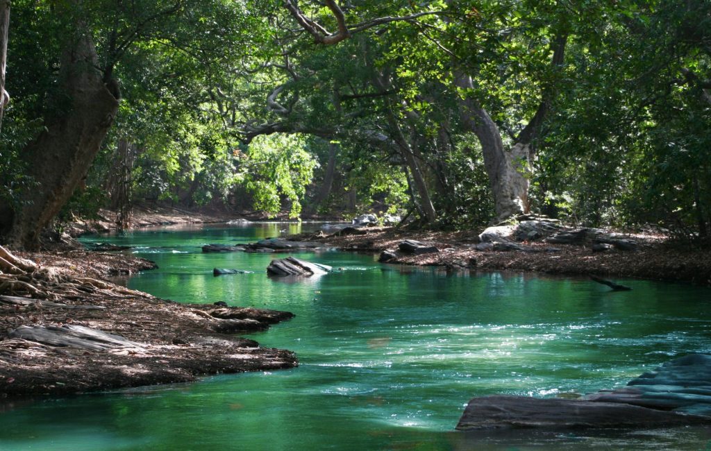 pexels-samandgos-709552