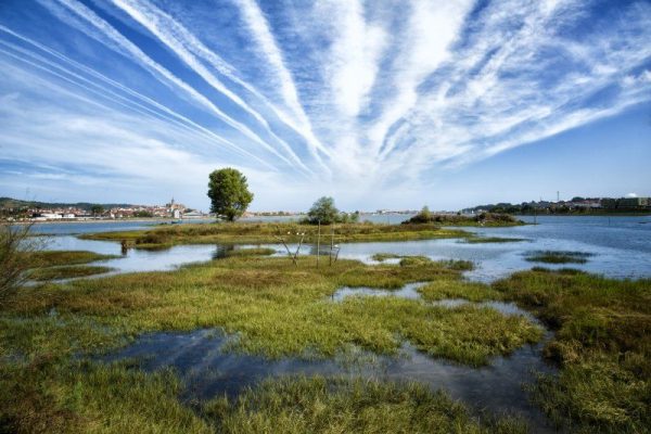 plaiaundi-201610261251-800x